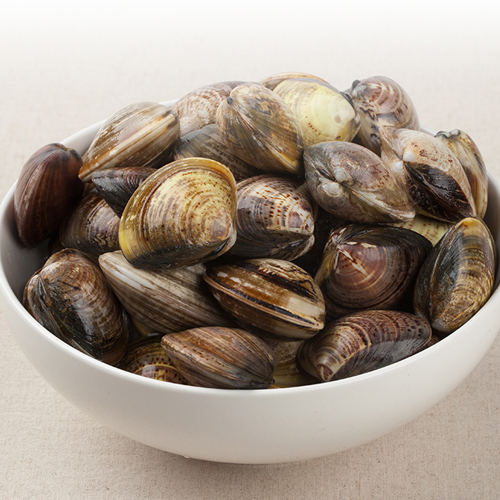 당일조업 당일발송 남해 활 바지락